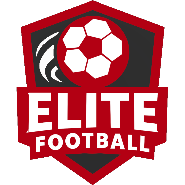 Elite Football Skills Training